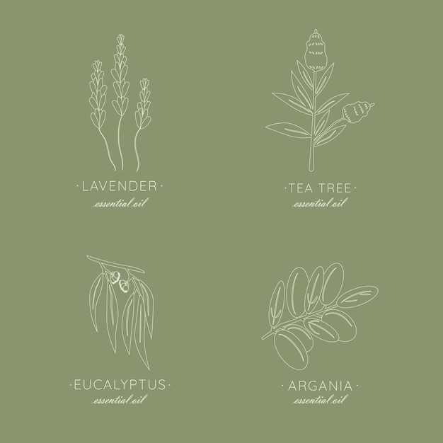 Vector lineaire set van botanische planten ontwerpen logo's met typografie voor essentiële oliën