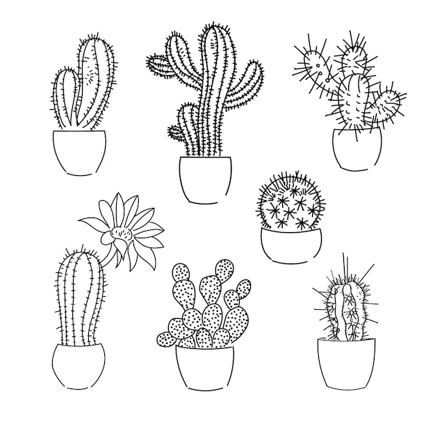 Vector lineaire tekening set met cactus planten Geïsoleerde lijnen op witte achtergrond