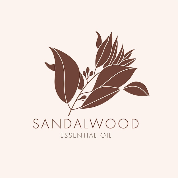 Вектор линейный ботанический значок и символ - сандал. дизайн логотипа для эфирного масла сандалового дерева. натуральный косметический продукт.