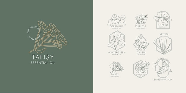 Vector linear set of botanical icons and emblems design logos with typography for essential oils n