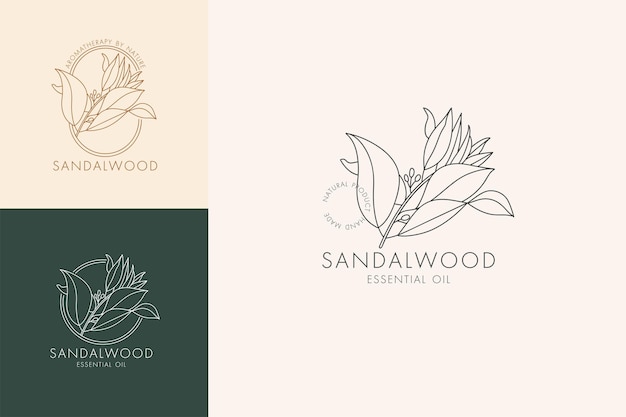 Vector linear set of botanical icons and symbols - sandalwood. Design logos for essential oil sandalwood. Natural cosmetic product.