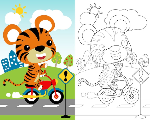 Vector of little tiger cartoon on motorbike, coloring book.