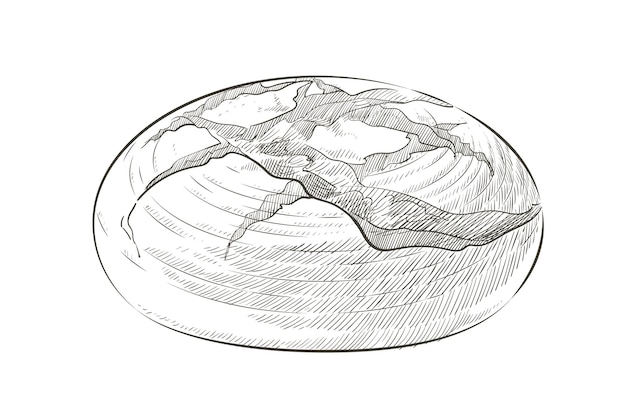 Вектор буханка хлеба. Ржаной округлый деревенский хлеб или цельнозерновой хлеб. Логотип, значок. Эскиз реалистичные линии старинные иллюстрации