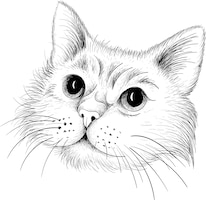 The vector logo cat for tattoo or tshirt design or outwear cute print style cat