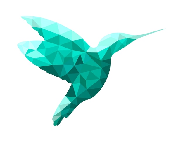 Vector low poly bird colibri