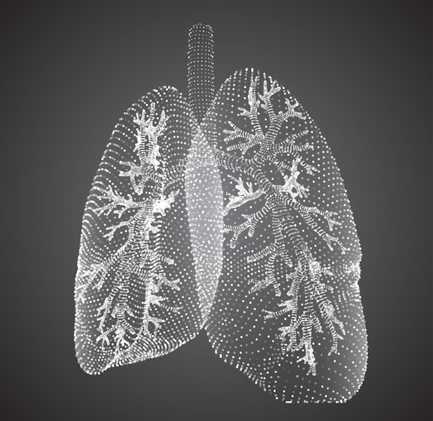 Vector vector lungs and bronchi vector design point and dot style