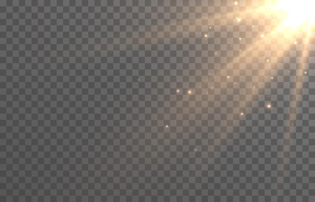 Vector magic light on isolated transparent background. Light png. Dust particles, magical glow png.