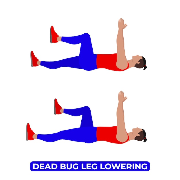 Vector vector man doing dead bug leg lowering bodyweight fitness core workout exercise