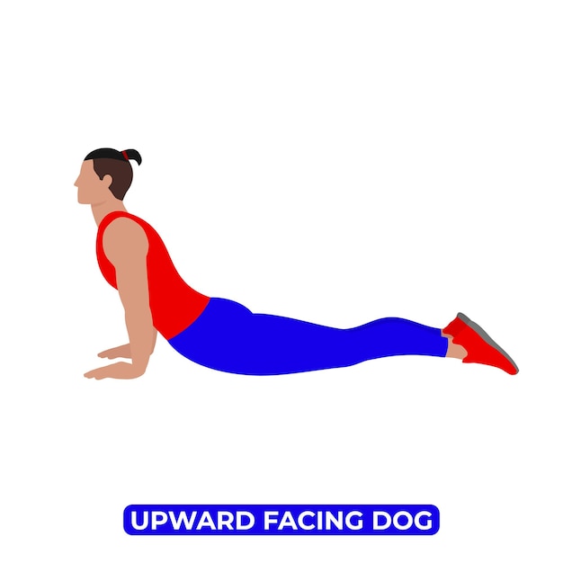 Vector Man Doing Upward Facing Dog Stretch Urdhva Mukha Svanasana Educational Illustration