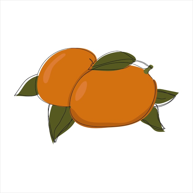Vector mango drawing of one continuous line Color illustration of mango in the style of one lineart