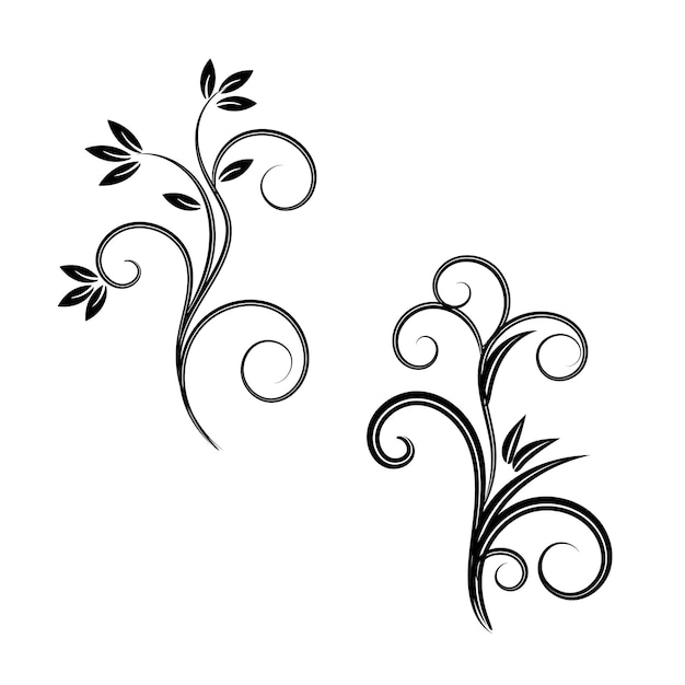 vector mascot silhouette of a beautiful tropical flower collection