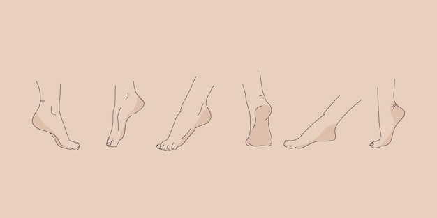Vector menselijke voet in verschillende poses. Hand tekenen met een lijn. Set vrouwelijke voeten voor design.