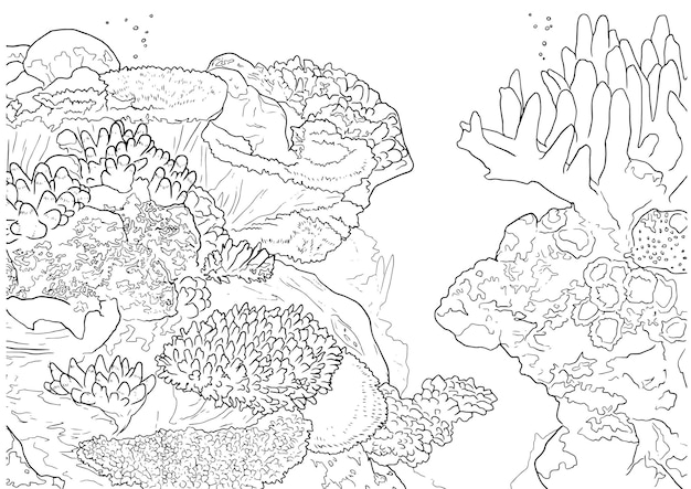 Vector met de hand getekende habitat oceaan koraal contour illustratie