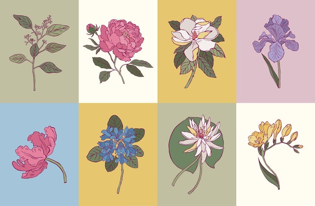 Vector vector minimal botanical illustration collection for postcard or print design