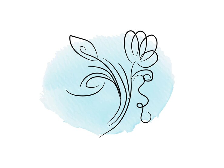 वेक्टर vector minimal drawn floral botanical line art