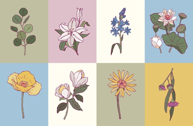 Vector vector minimale botanische illustratie collectie voor postkaart of print ontwerp