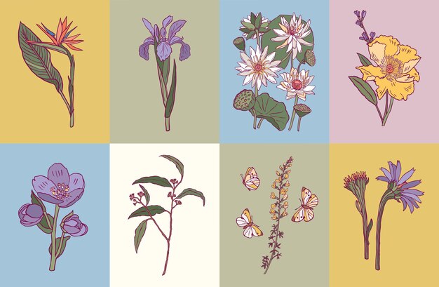 Vector vector minimale botanische illustratie collectie voor postkaart of print ontwerp