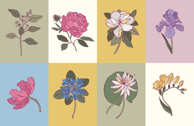 Vector minimale botanische illustratie collectie voor postkaart of print ontwerp