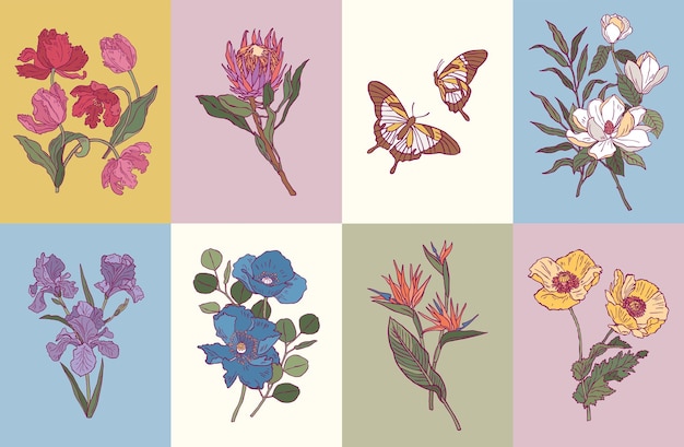 Vector minimale botanische illustratie collectie voor postkaart of print ontwerp