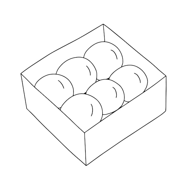 Vector mochi dessert in box Japanese dessert doodle sketch