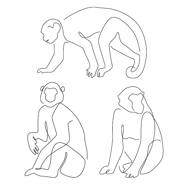 벡터 동물 원숭이 라인 아트 drawinging 그림의 벡터 현대 미니멀리즘