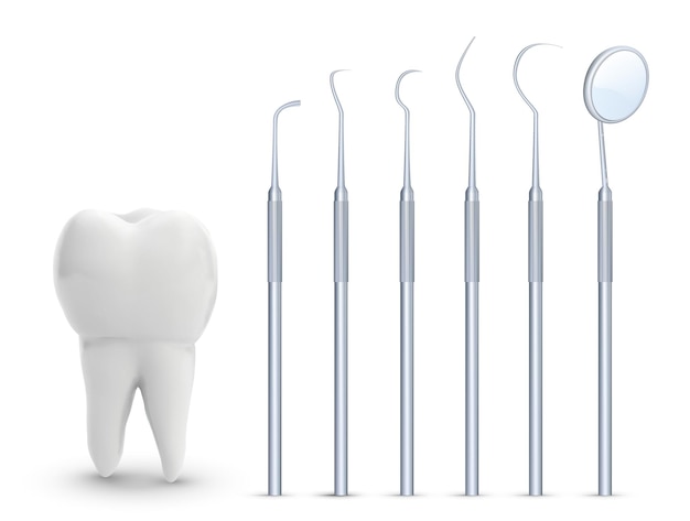 벡터 어금니 아름다움과 건강 치아 청소 및 개인 간병인 도구