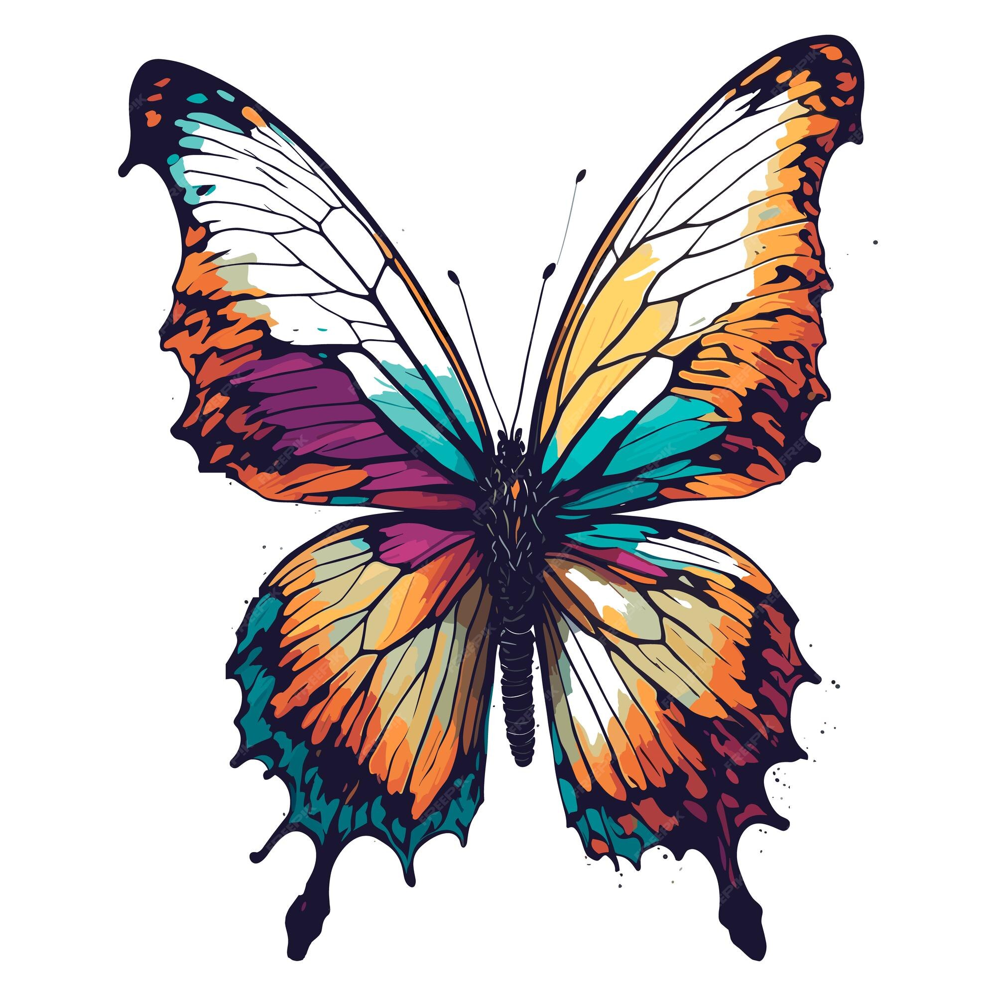 Premium Vector | Vector monarch butterfly isolated on white background