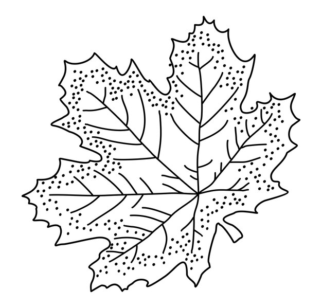 Vector monochrome doodle illustration of maple leaf.