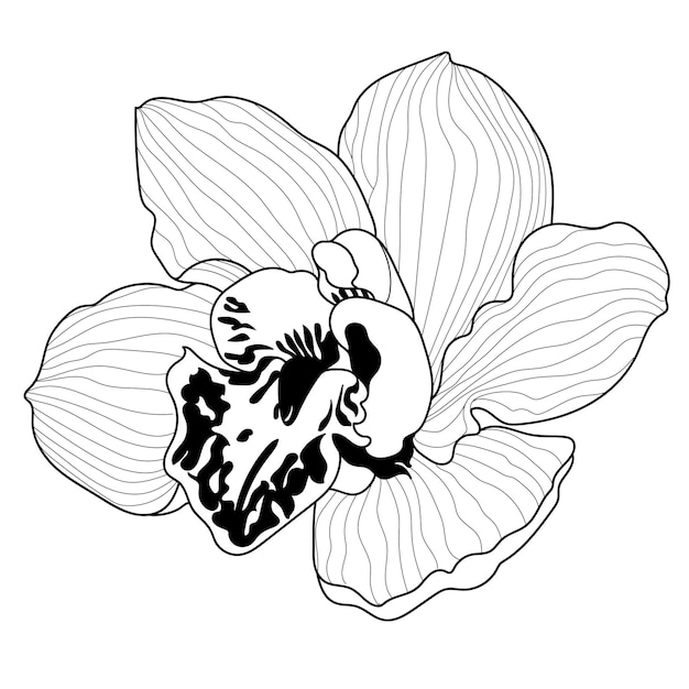 Вектор Векторный монохромный цветок на белом фоне