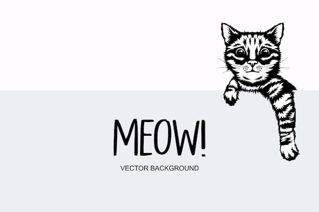 Vector monochrome hand drawm black white hiding peeking kitten kitten head with paws up peeking over blank white placard poster card banner pet kitten curiously peeking behind white background