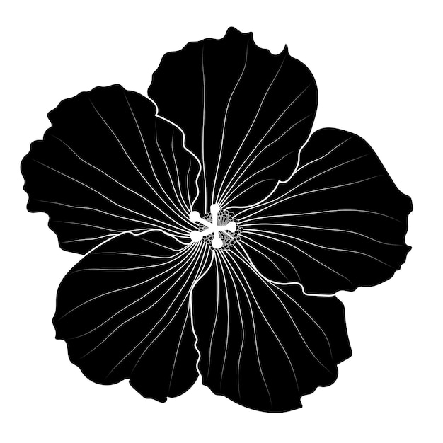 Vector vector monochroom anemoon bloemen geïsoleerd op een witte achtergrond