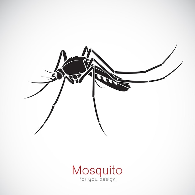 Vettore di un disegno di zanzara su sfondo bianco. insetto. animale. Vettore Premium