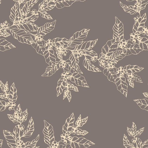 Vector naadloos patroon met koffietakken. Illustratie van bladeren en bessen van koffie in de stijl van de schetsgravure. Vintage grijze achtergrond met bladeren en koffie.