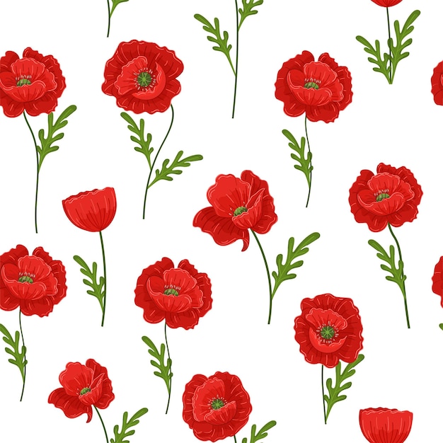 Vector naadloos patroon met rode papavers op een witte achtergrond mooie zomerbloemen de print