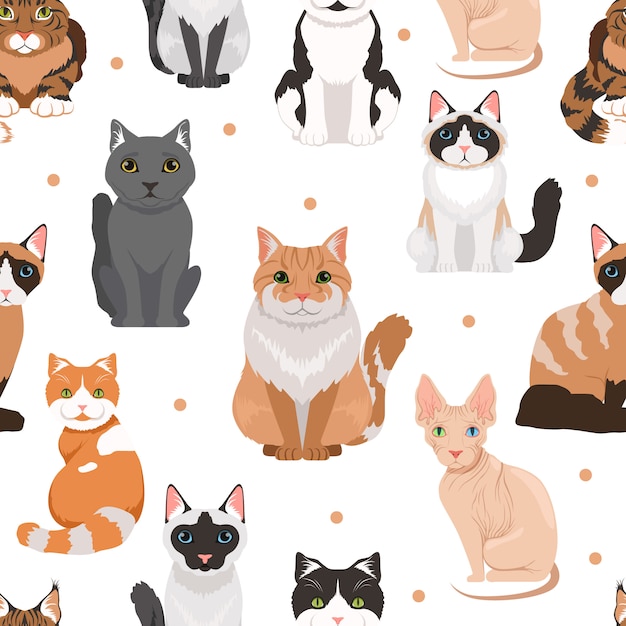 Vector naadloos patroon van schattige katten. Gekleurde afbeeldingen van huisdieren. Kat gezelschapsdier patroon achtergrond illustratie