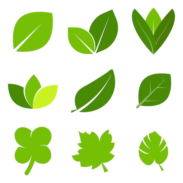 vector nature element design asset collection