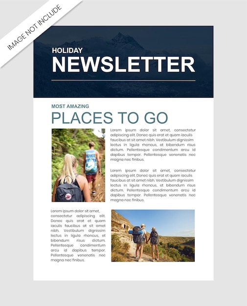 Vector newsletter holiday blog template