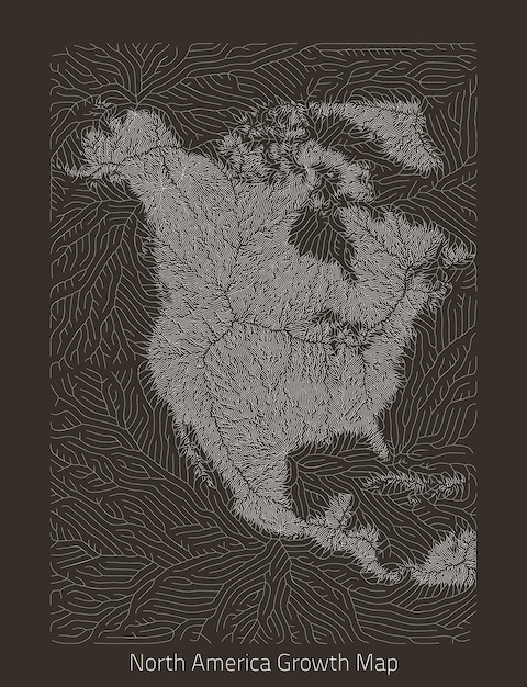 ベクトル ベクター北米地図大陸の形で生成的な成長構造地理的なシルエットを持つ有機的なテクスチャ