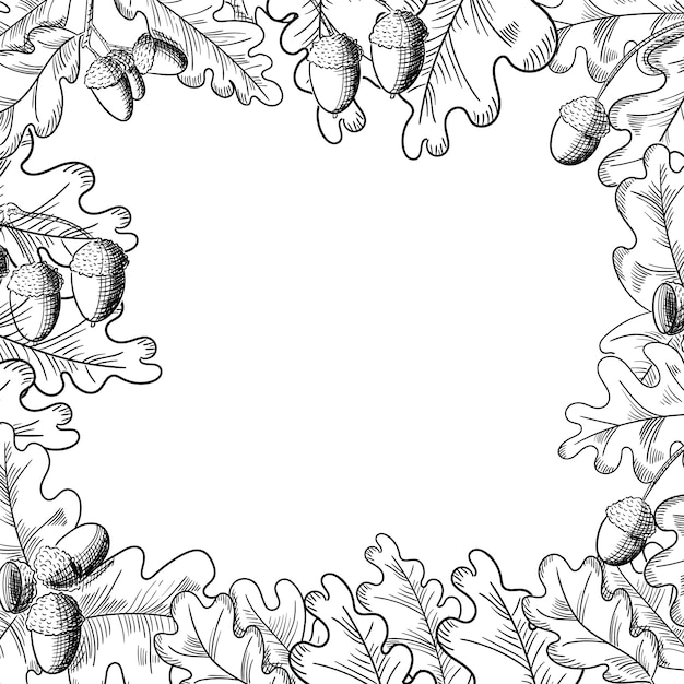 벡터 오크 잎과 도토리 프레임 그리기