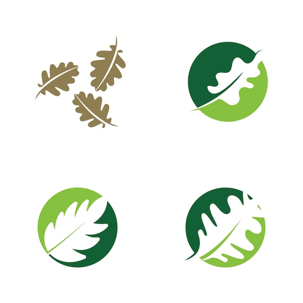 Vector oak leaf logo template