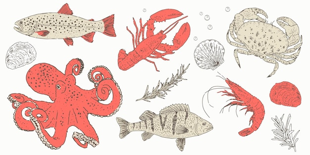 Vector ocean life hand drawn set