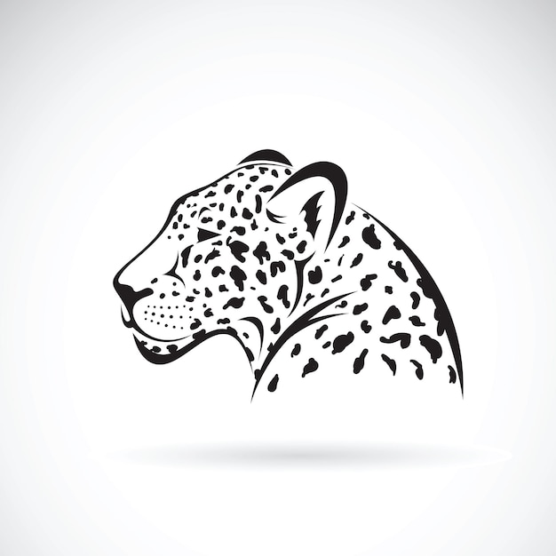 Вектор леопарда на белом фоне дикие животные