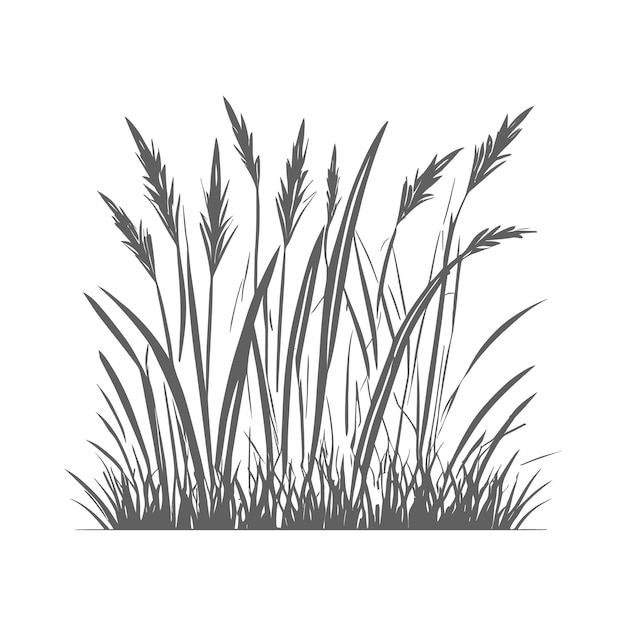 Vector vector off a natal grass