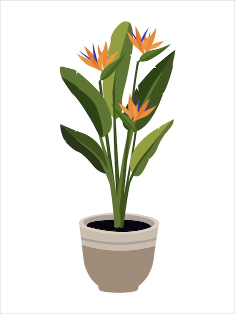 Вектор vector office plant isolated flat style