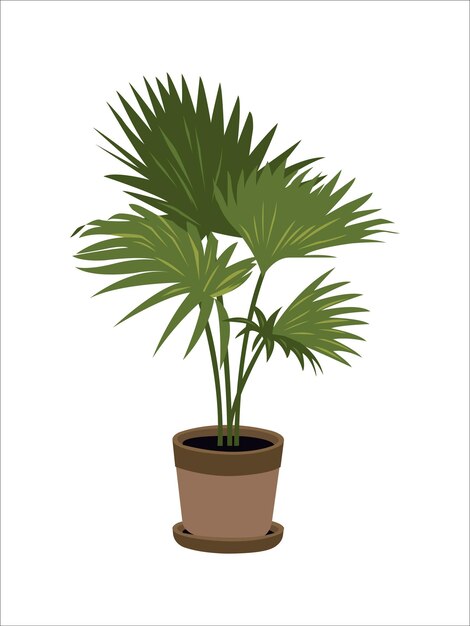 Vector vector office plant isolated flat style