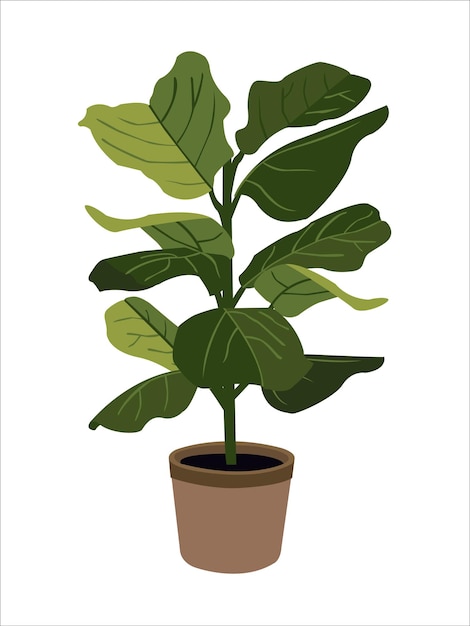 Vector office plant isolated flat style