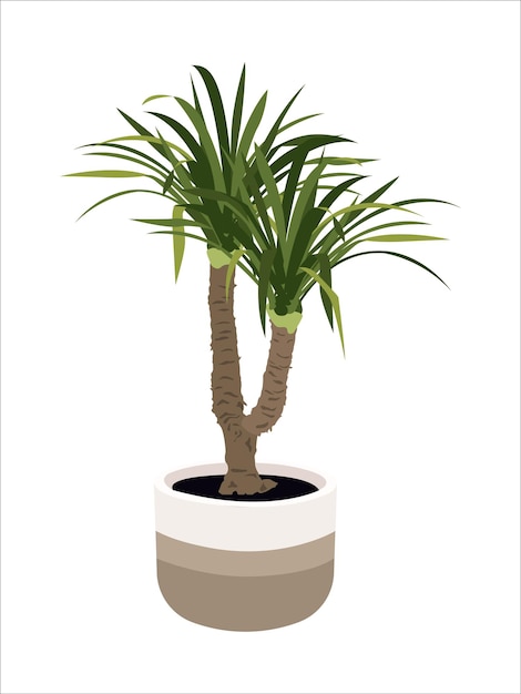 Vector office plant isolated flat style