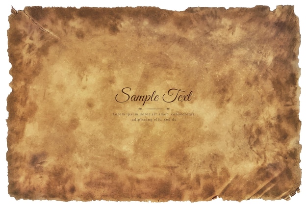 Vector vector old parchment paper sheet vintage aged or texture isolated on white background