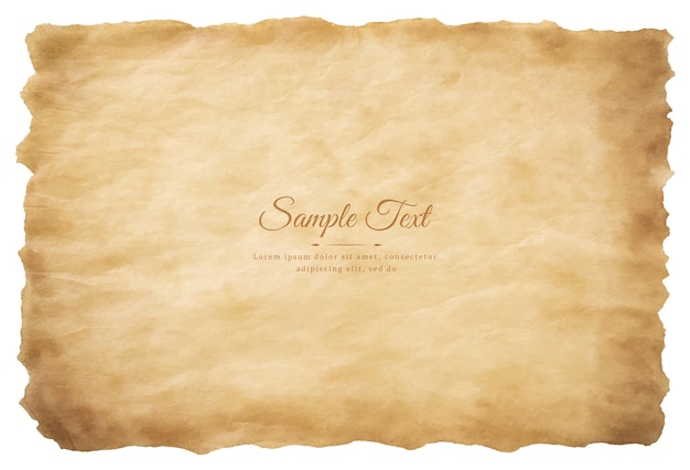 Vector old parchment paper sheet vintage aged or texture isolated on white background