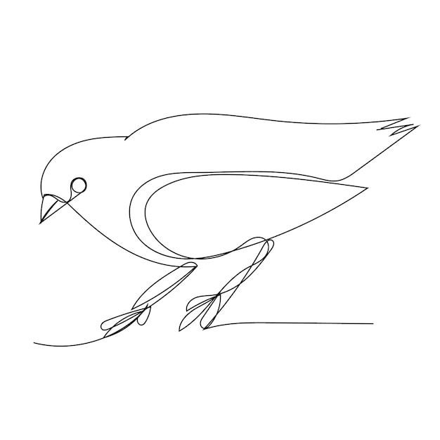 Vector vector op een witte achtergrond een enkele ononderbroken lijntekening van een vogel